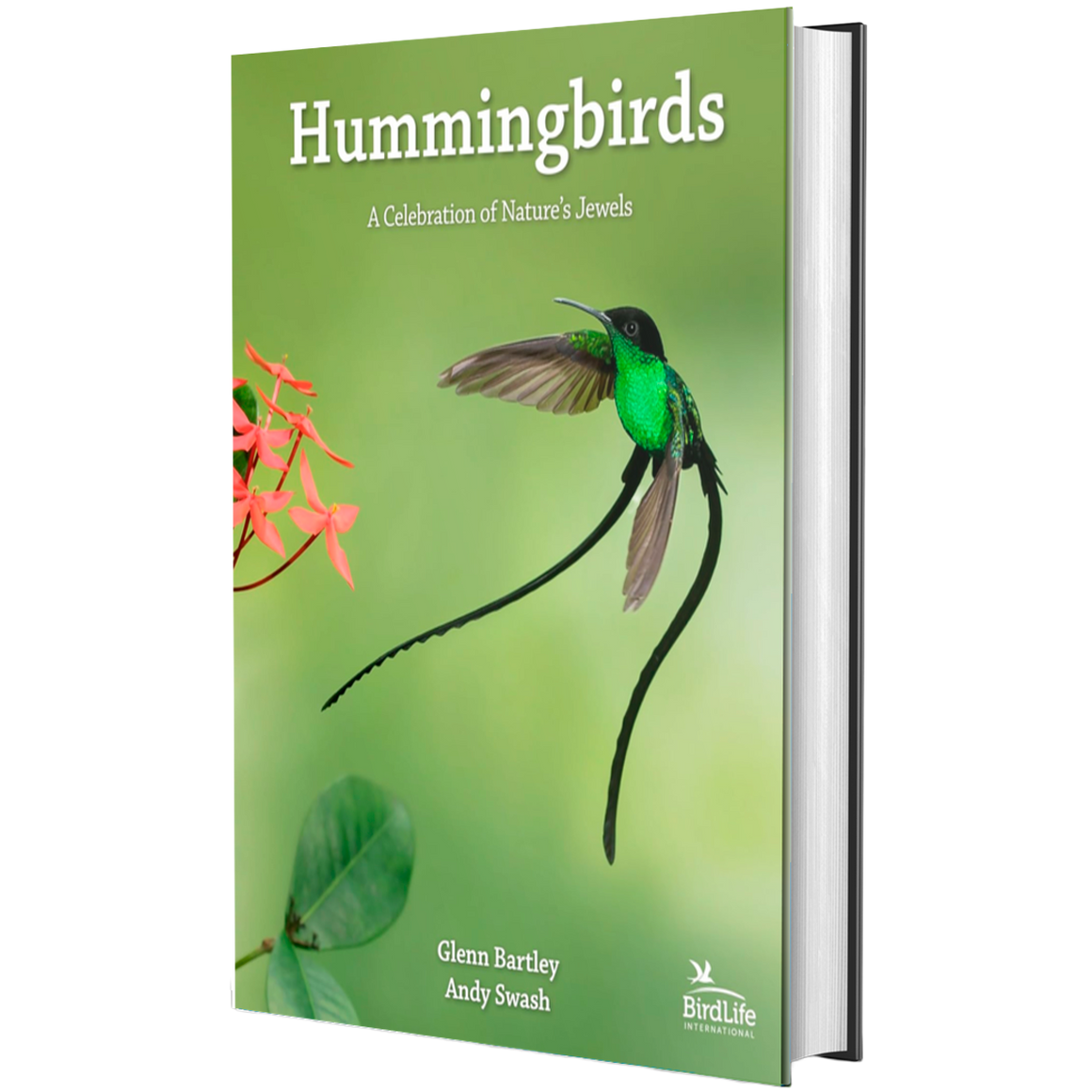 Hummingbirds: A Celebration of Nature's Jewels