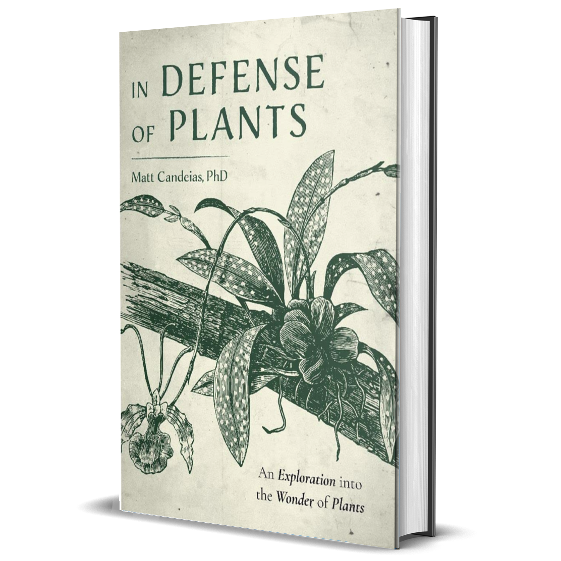In Defense of Plants: An Exploration into the Wonder of Plants