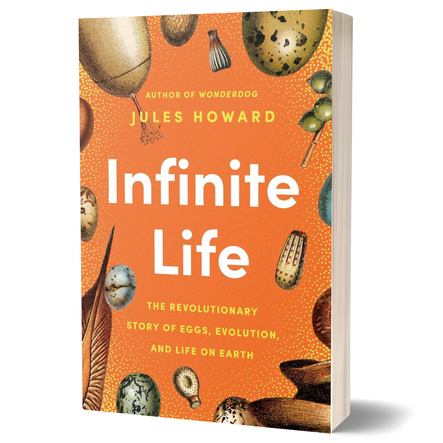 Infinite Life: The Revolutionary Story of Eggs, Evolution, and Life on Earth
