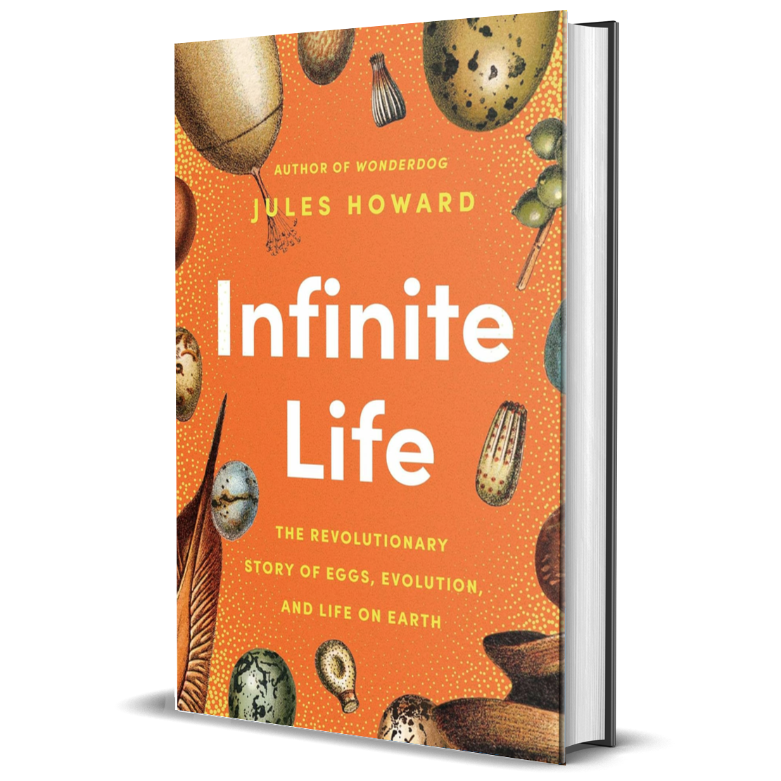 Infinite Life: The Revolutionary Story of Eggs, Evolution, and Life on Earth