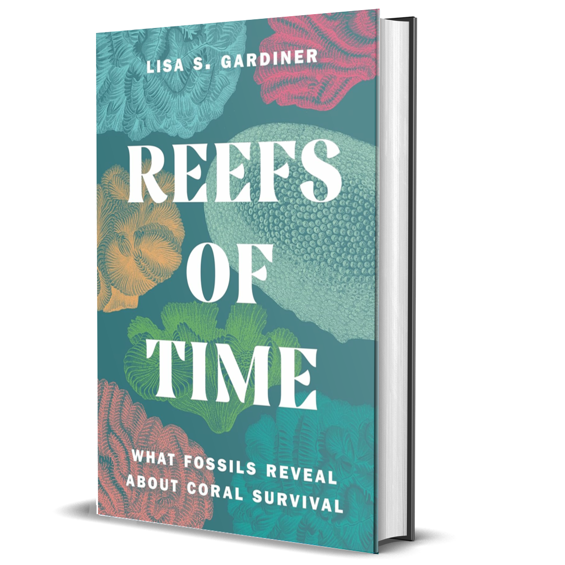 Insect Architecture: How Insects Build, Engineer, and Shape Their World