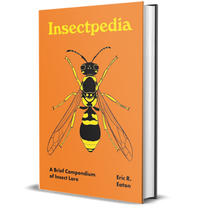 Insectpedia: A Brief Compendium of Insect Lore 