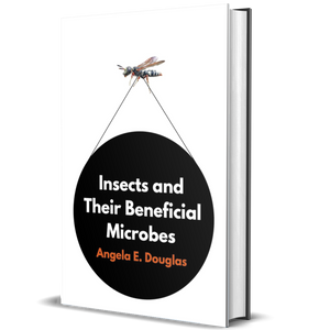 Insects and Their Beneficial Microbes