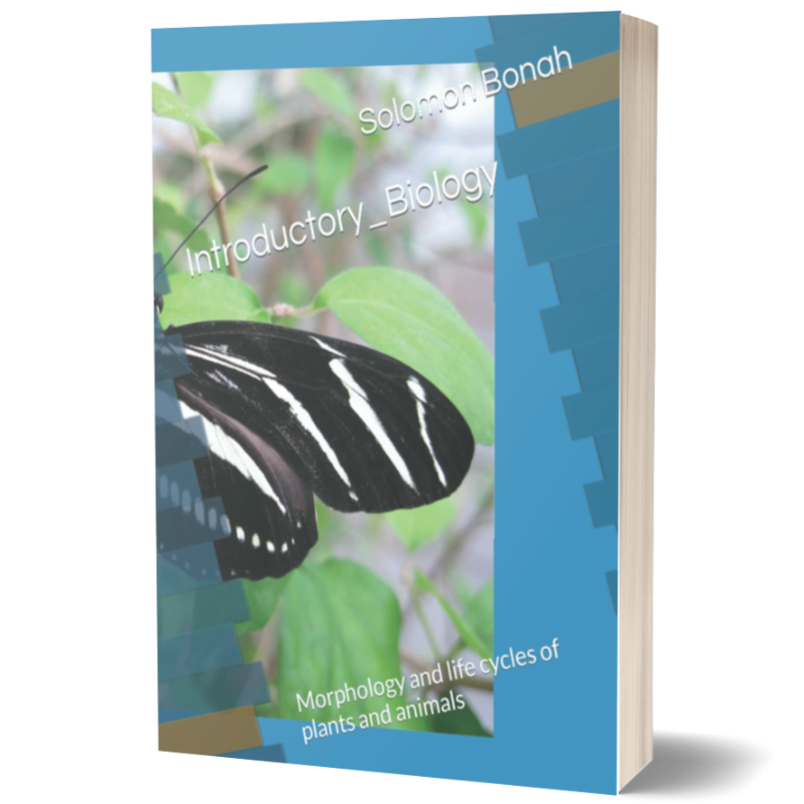 Introductory Biology: Morphology and Life Cycles of Plants and Animals