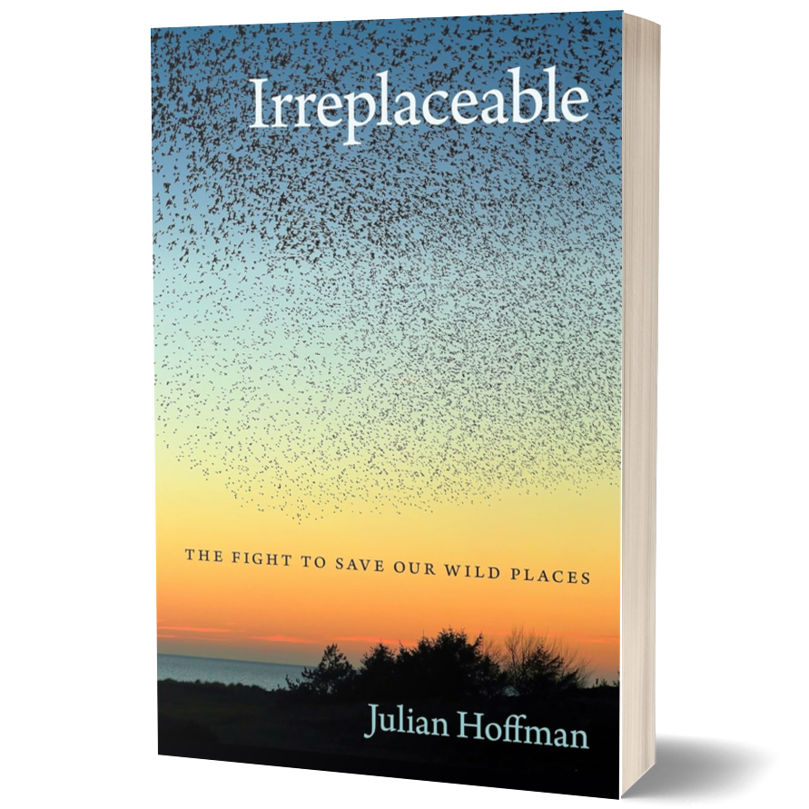Irreplaceable: The Fight to Save Our Wild Places