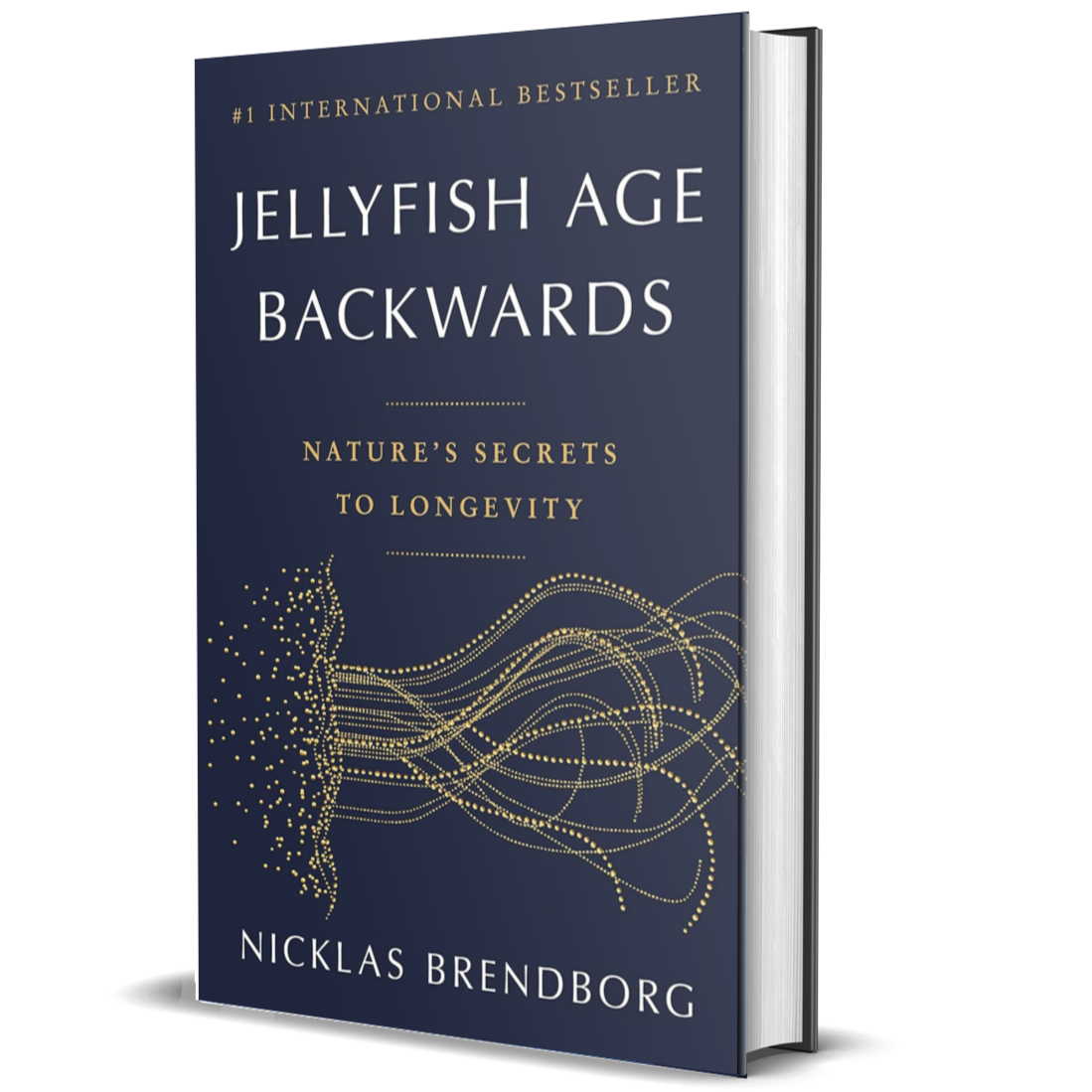 Jellyfish Age Backwards: Nature's Secrets to Longevity