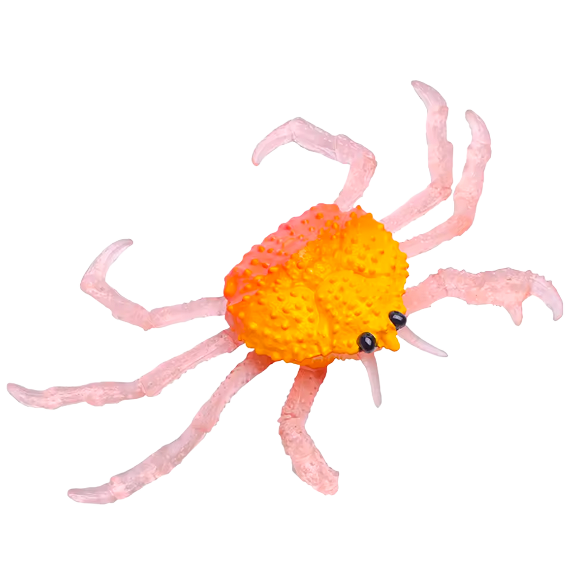 Juguete de Simulación en Silicona de Pulpo y Cangrejo (+3)