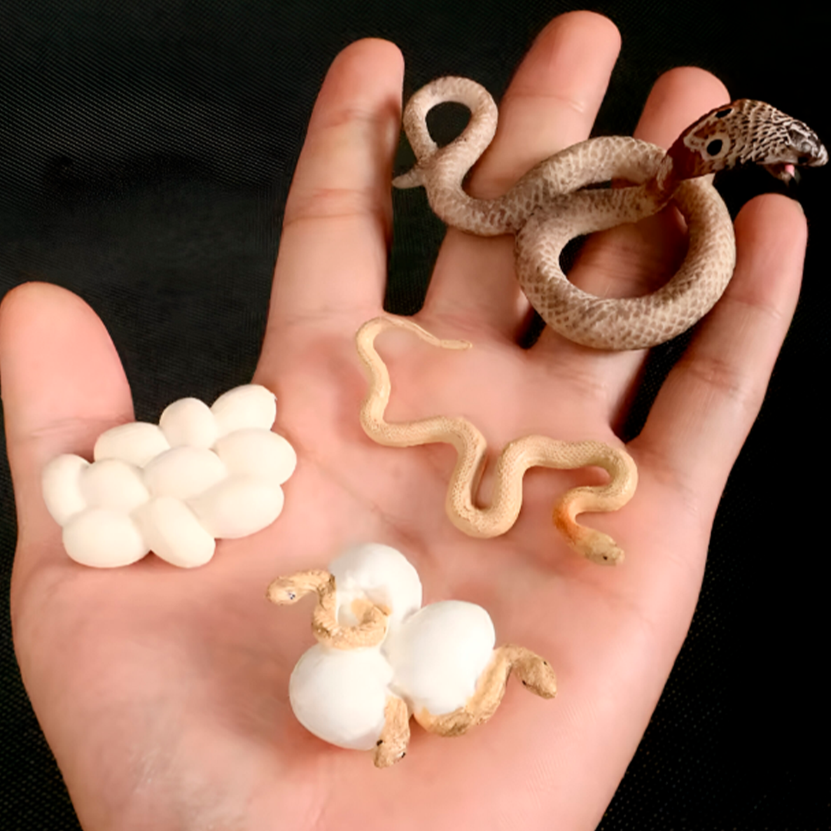 Kit de Microscópio Portátil 60×-120×/180× para Aprendizado Científico (+6)