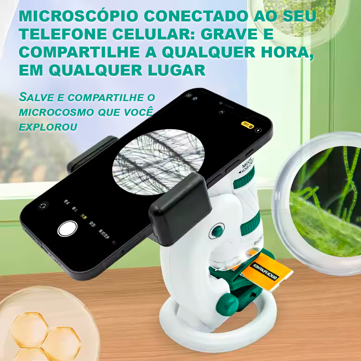 Kit de Microscópio Portátil 60×-120×/180× para Aprendizado Científico (+6)