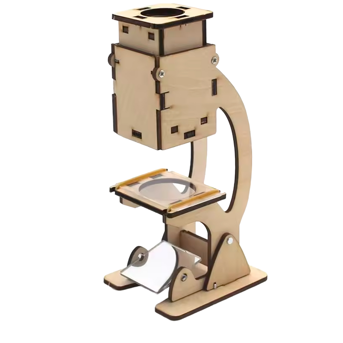 Kit de Modelo de Microscópio (+6)
