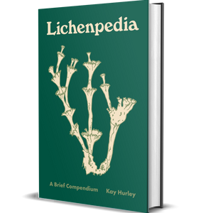 Lichenpedia: A Brief Compendium