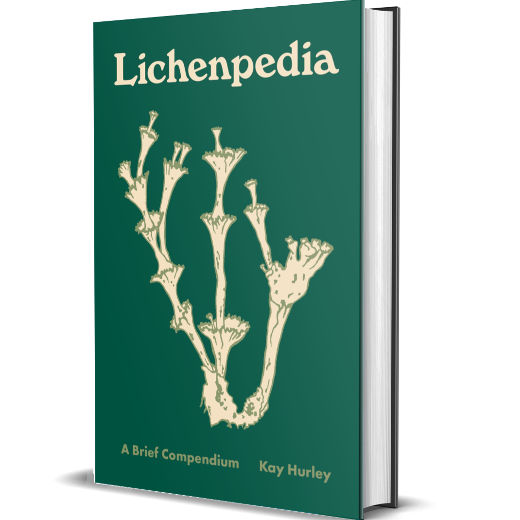 Lichenpedia: A Brief Compendium