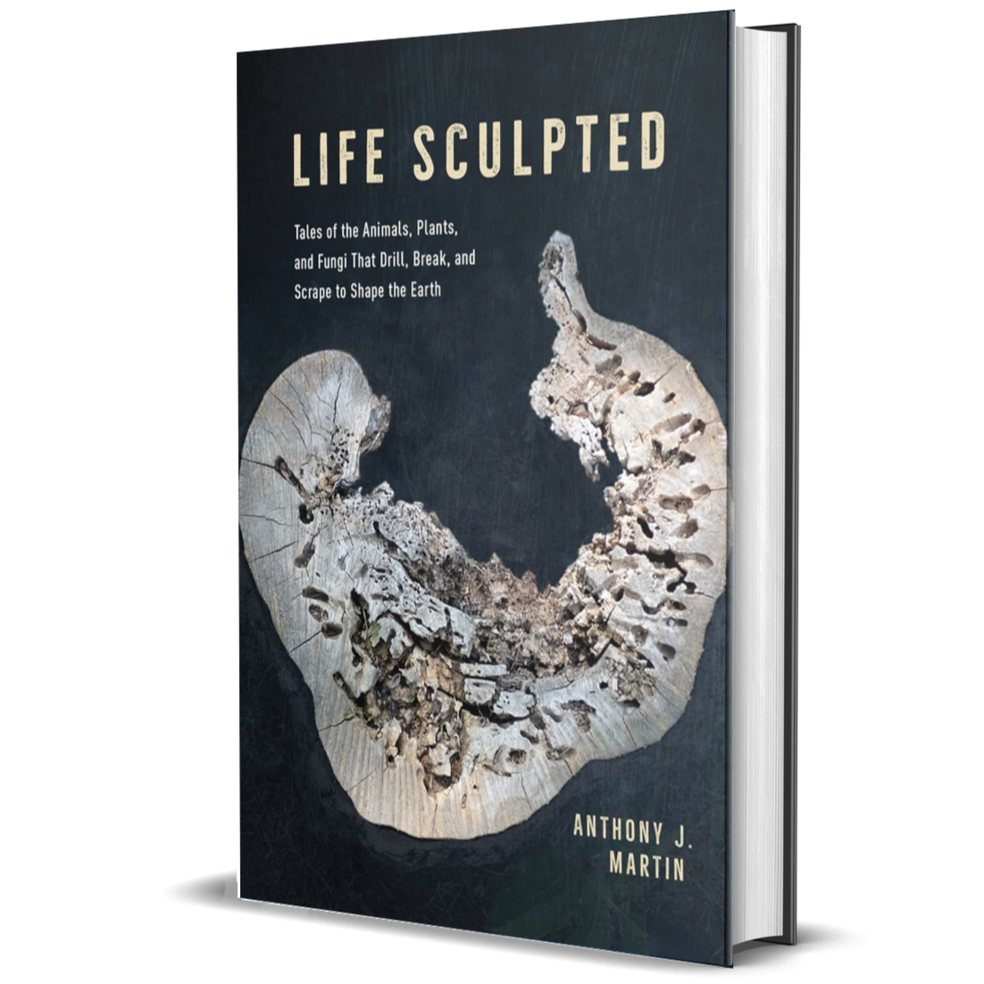 Life Sculpted: Tales of the Animals, Plants, and Fungi That Drill, Break, and Scrape to Shape the Earth