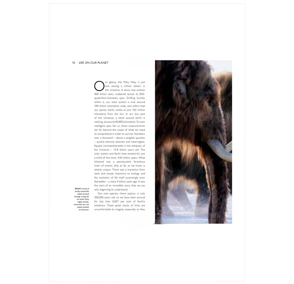 Life on Our Planet: A Stunning Re-examination of Prehistoric Life on Earth ²⁵