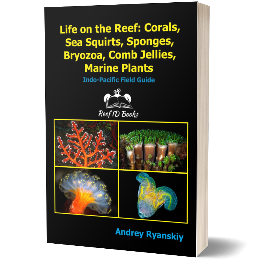 Life on the Reef: Corals, Sea Squirts, Sponges, Bryozoa, Comb Jellies, Marine Plants: Indo-Pacific Field Guide (Coral Reef Academy: Indo-Pacific Photo Guides)