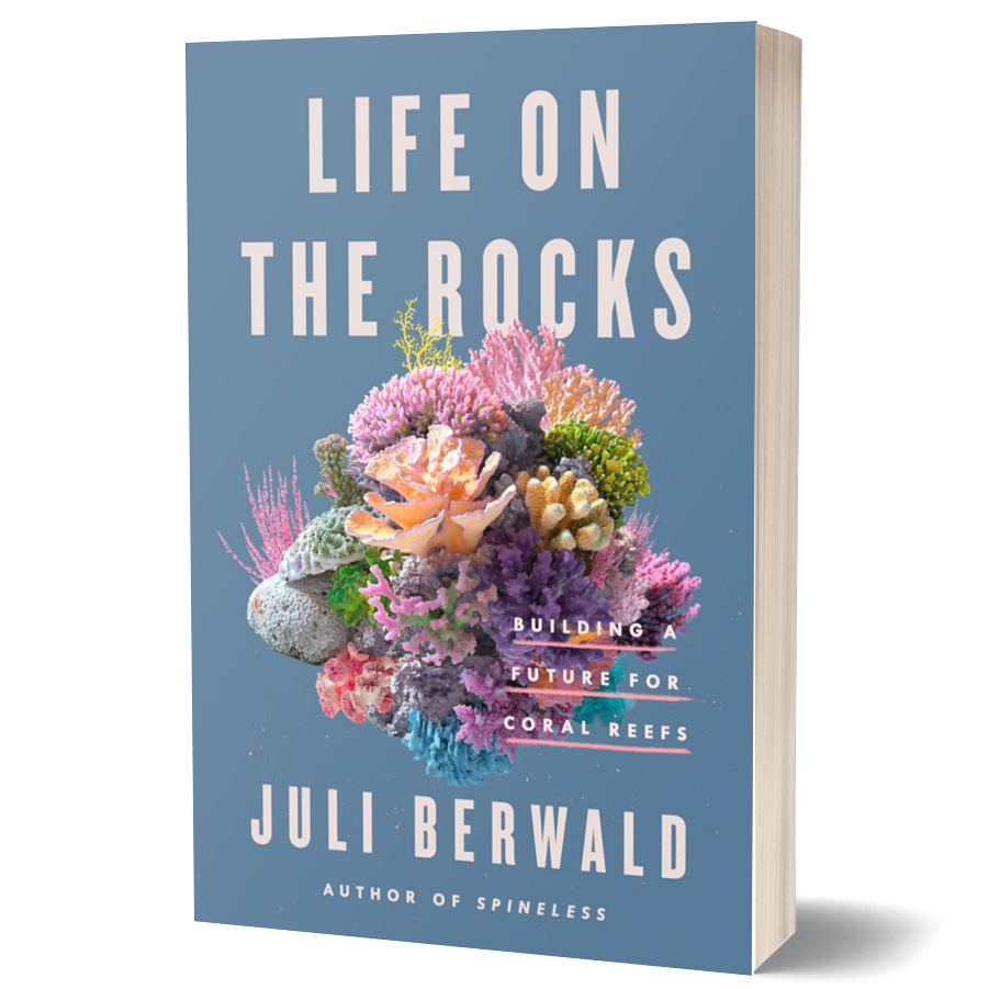 Life on the Rocks: Building a Future for Coral Reefs