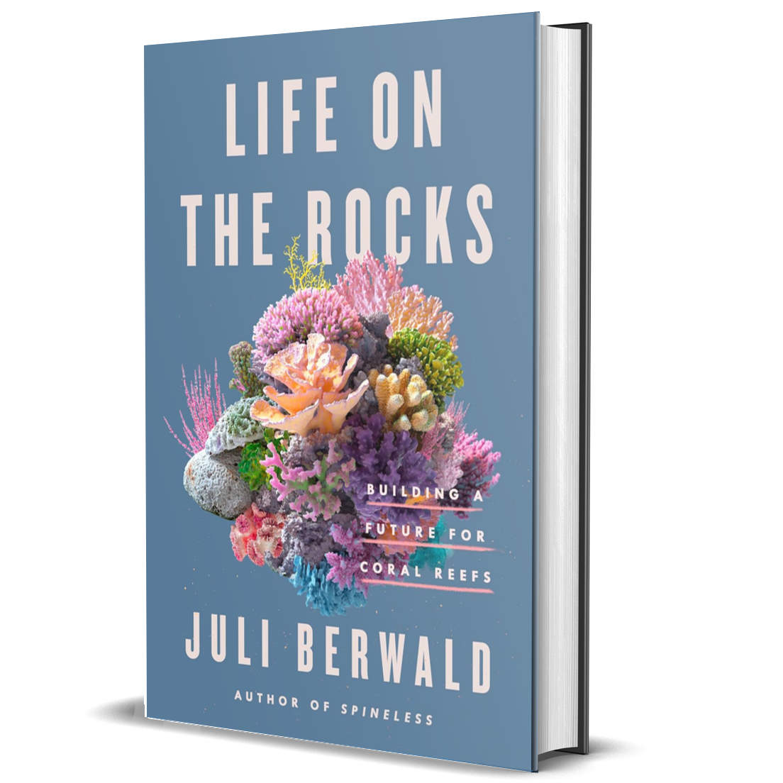 Life on the Rocks: Building a Future for Coral Reefs