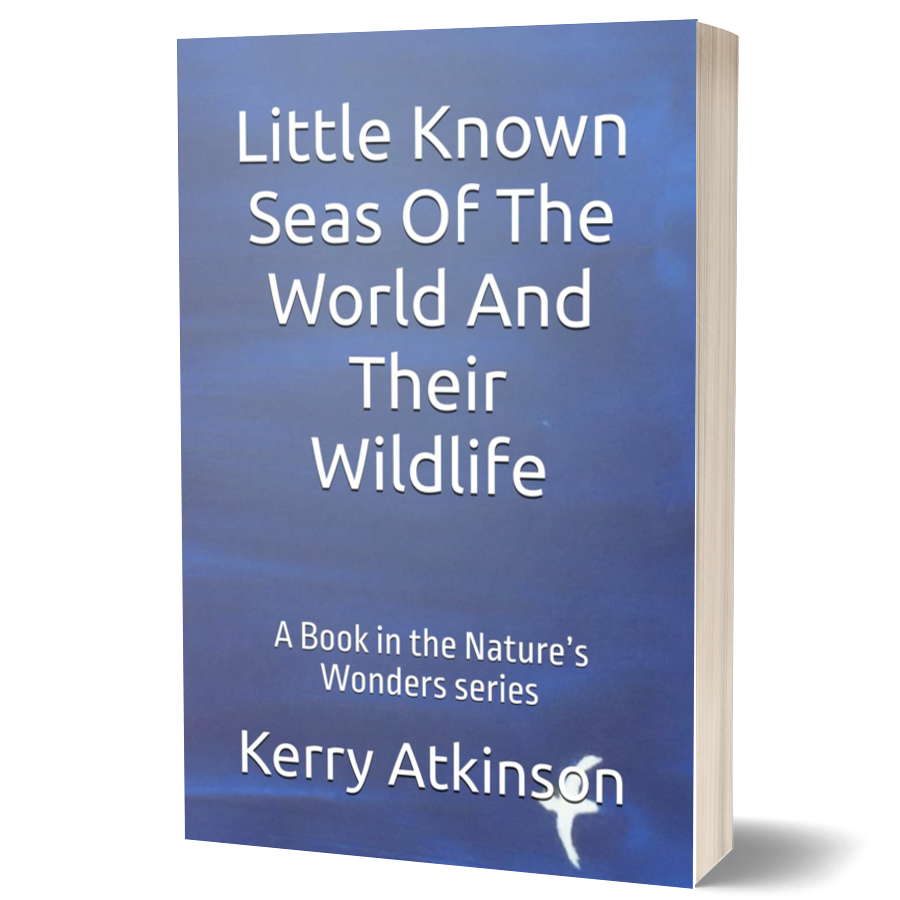Little Known Seas Of The World And Their Wildlife: A Book in the Nature’s Wonders series