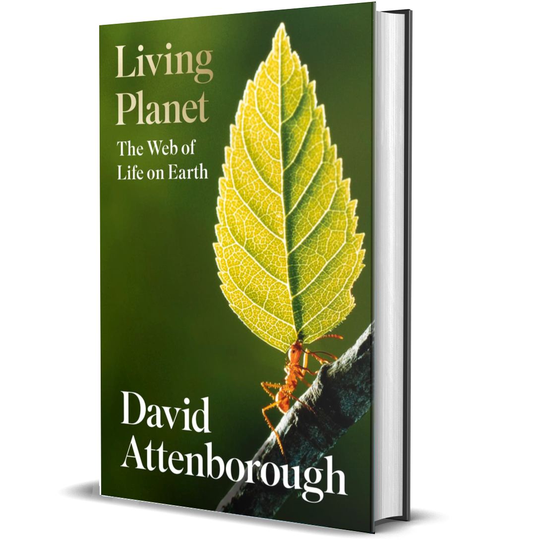 Living Planet: A New, Fully Updated Edition of David Attenborough’s Seminal Portrait of Life on Earth