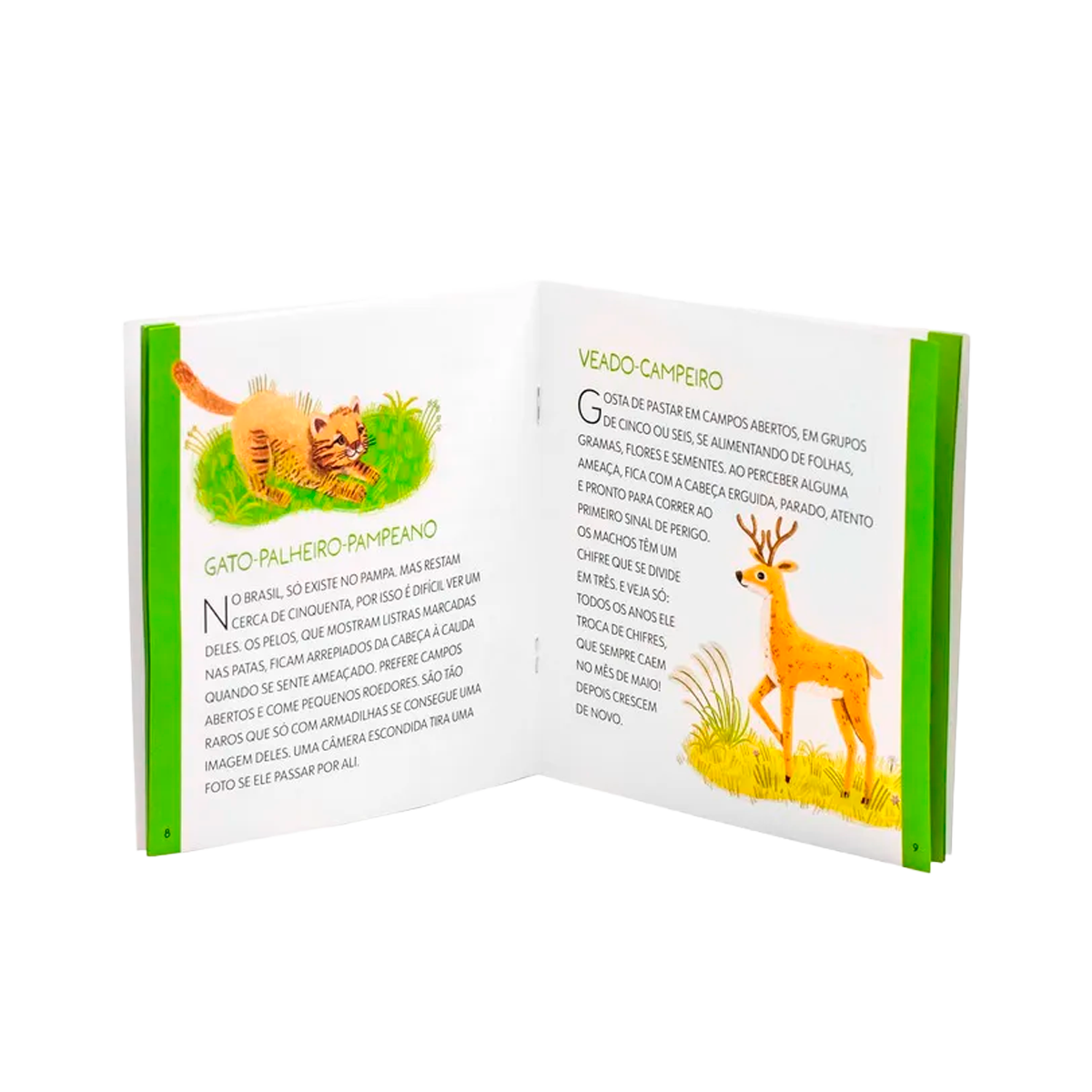 Livro com Quebra-Cabeça - Viva o Pampa de 24 Peças (+4)