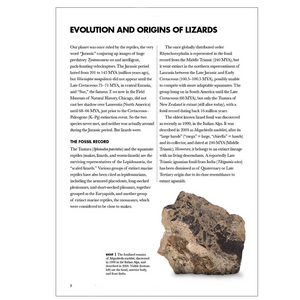 Lizards of the World | A Guide to Every Family