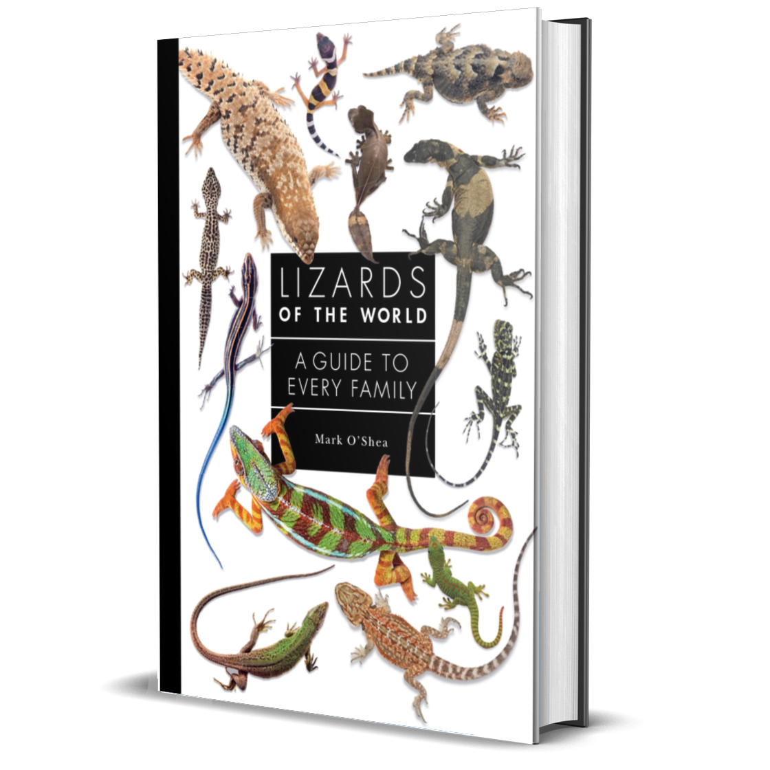 Lizards of the World: A Guide to Every Family