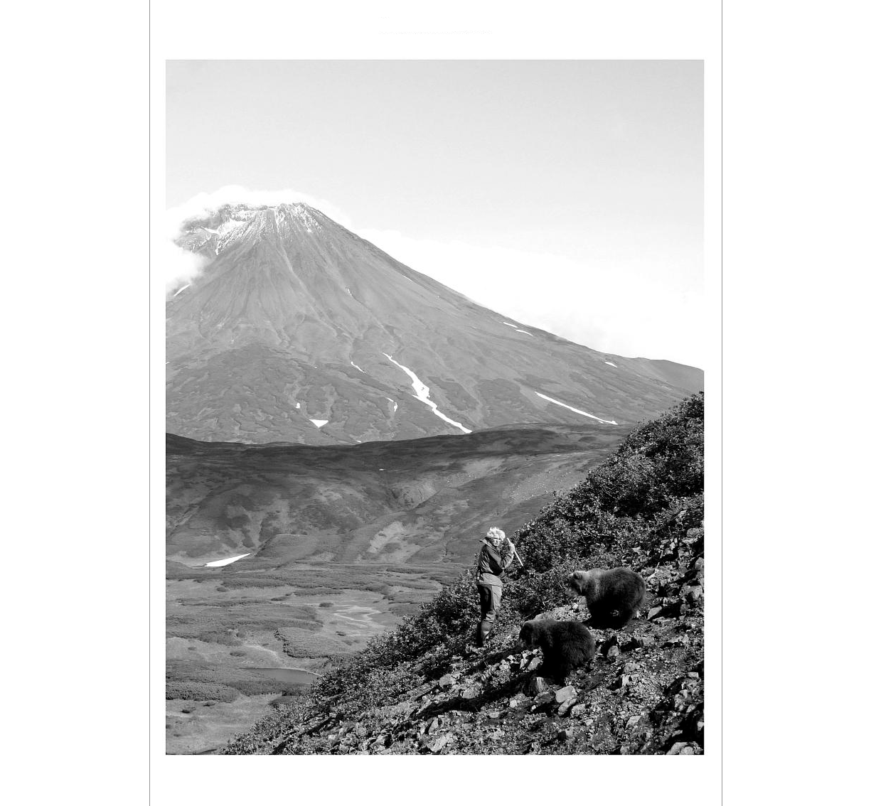 Look Inside Also Available: Carnivore Minds Who These Fearsome Animals Really Are