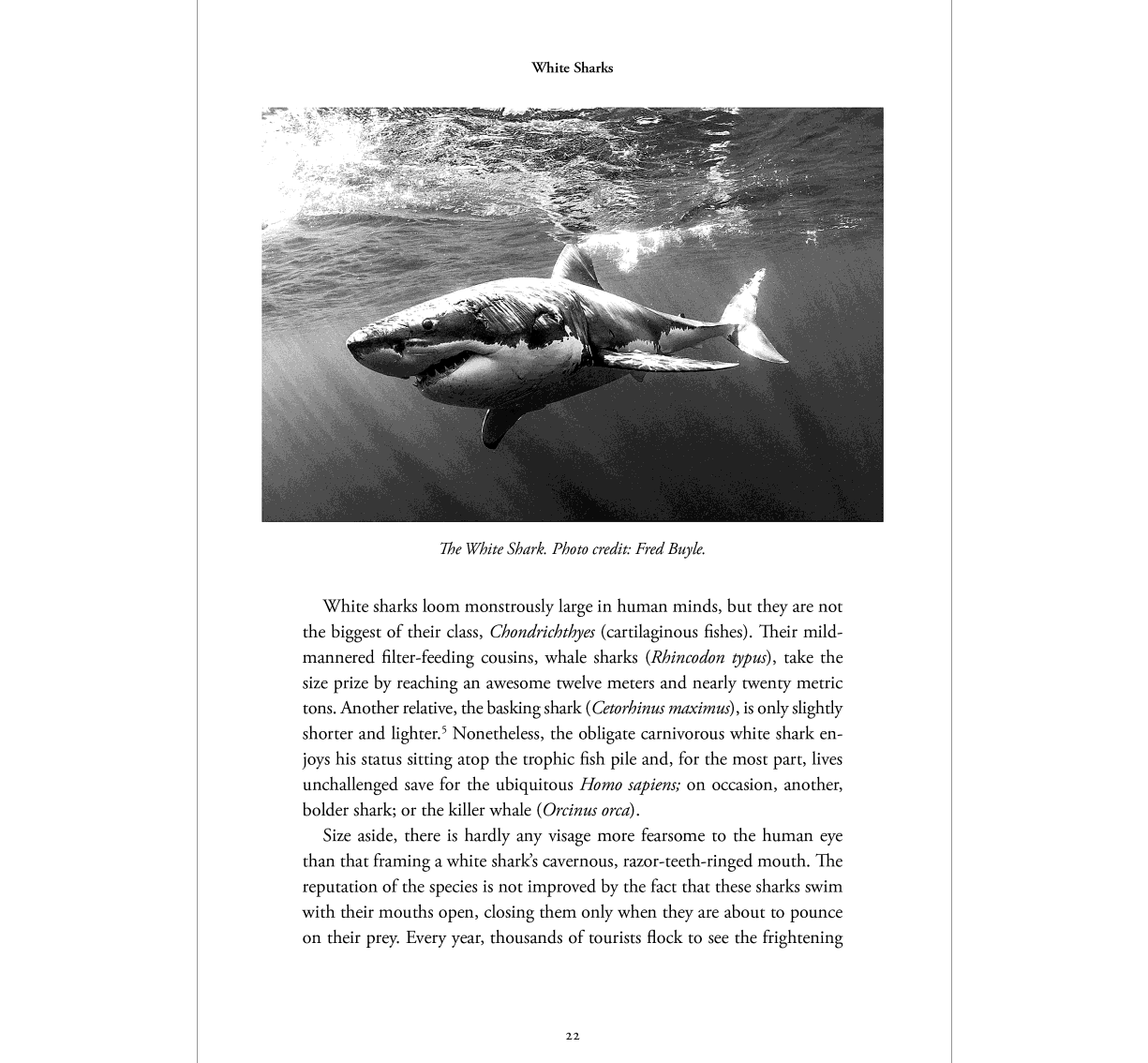 Look Inside Also Available: Carnivore Minds Who These Fearsome Animals Really Are