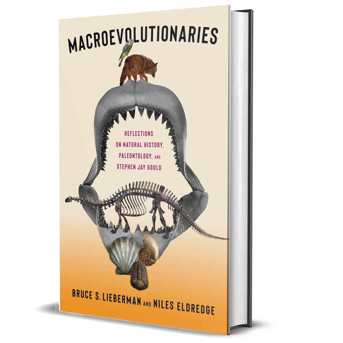 Macroevolutionaries: Reflections on Natural History, Paleontology, and Stephen Jay Gould