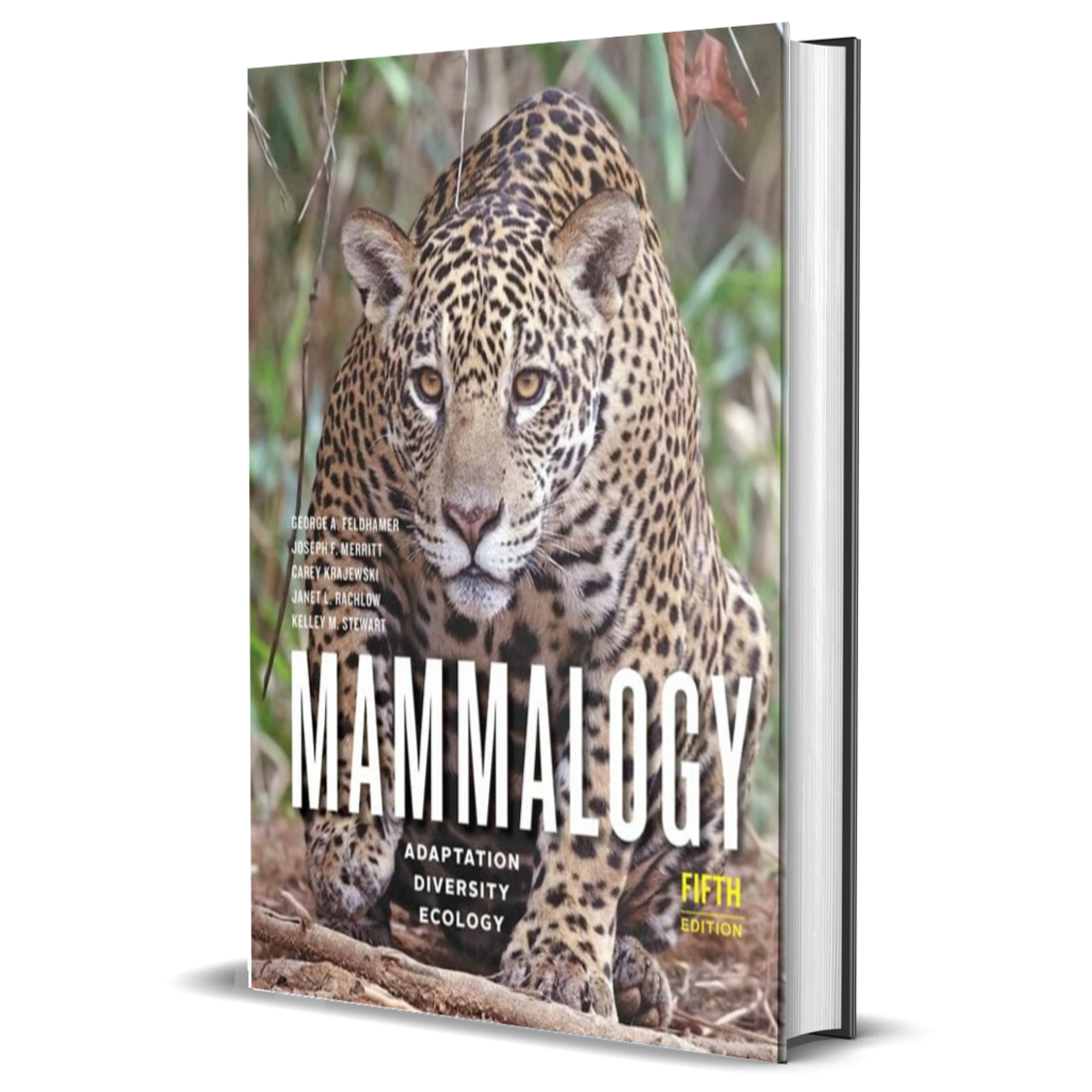 Mammalogy: Adaptation, Diversity, Ecology