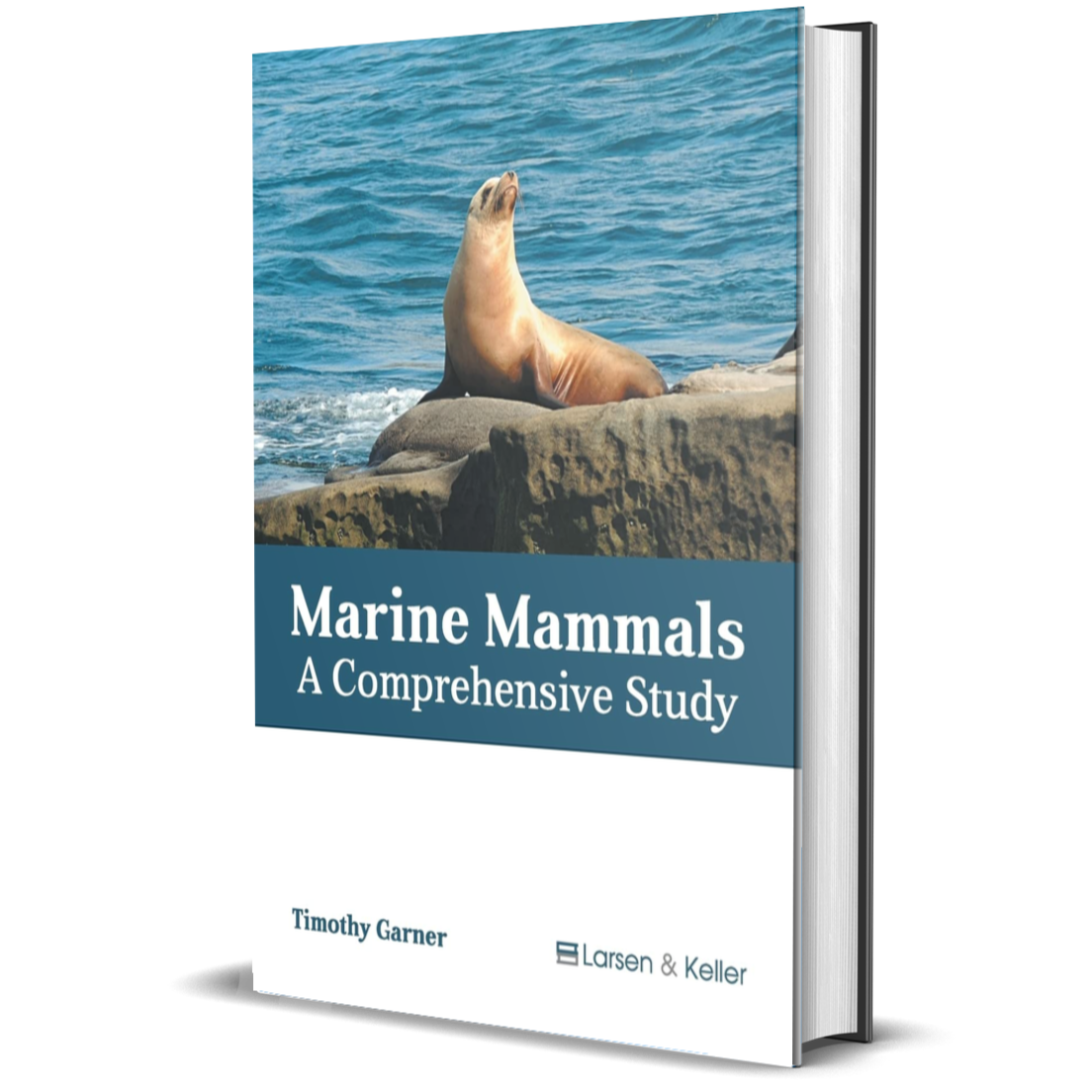 Marine Mammals: A Comprehensive Study