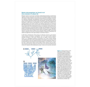 Marine Microbiology: Ecology & Applications, 3rd Ed.