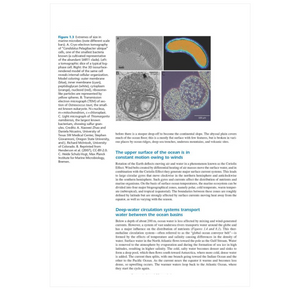 Marine Microbiology: Ecology & Applications, 3rd Ed.