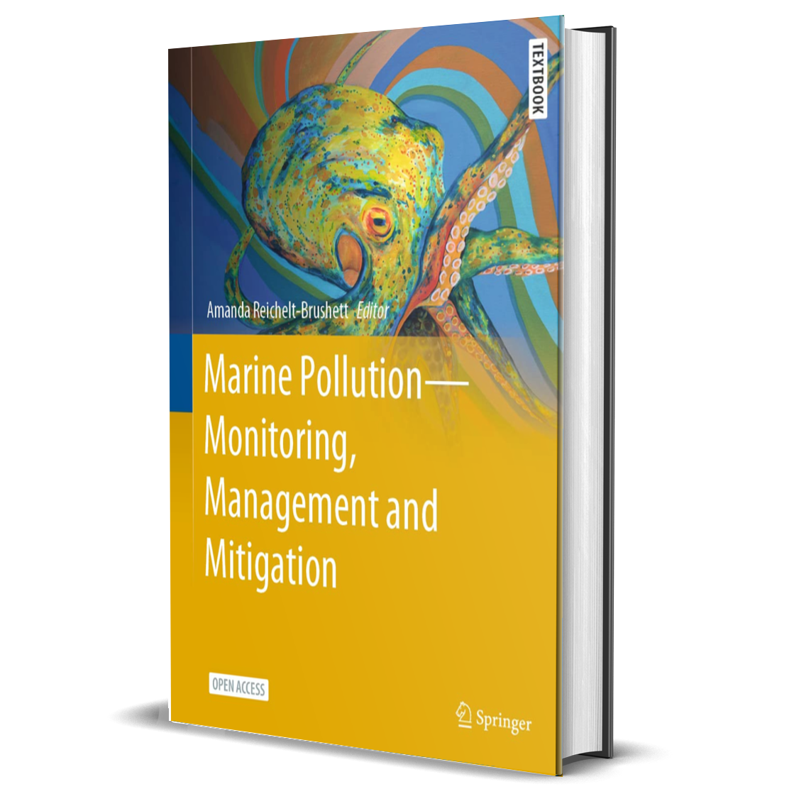 Marine Pollution – Monitoring, Management and Mitigation: Monitoring, Management and Mitigation (Springer Textbooks in Earth Sciences, Geography and Environment)