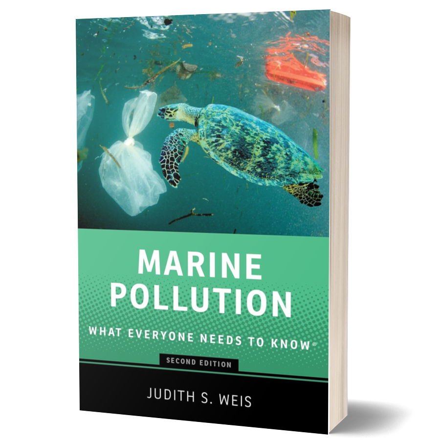 Marine Pollution: What Everyone Needs to Know