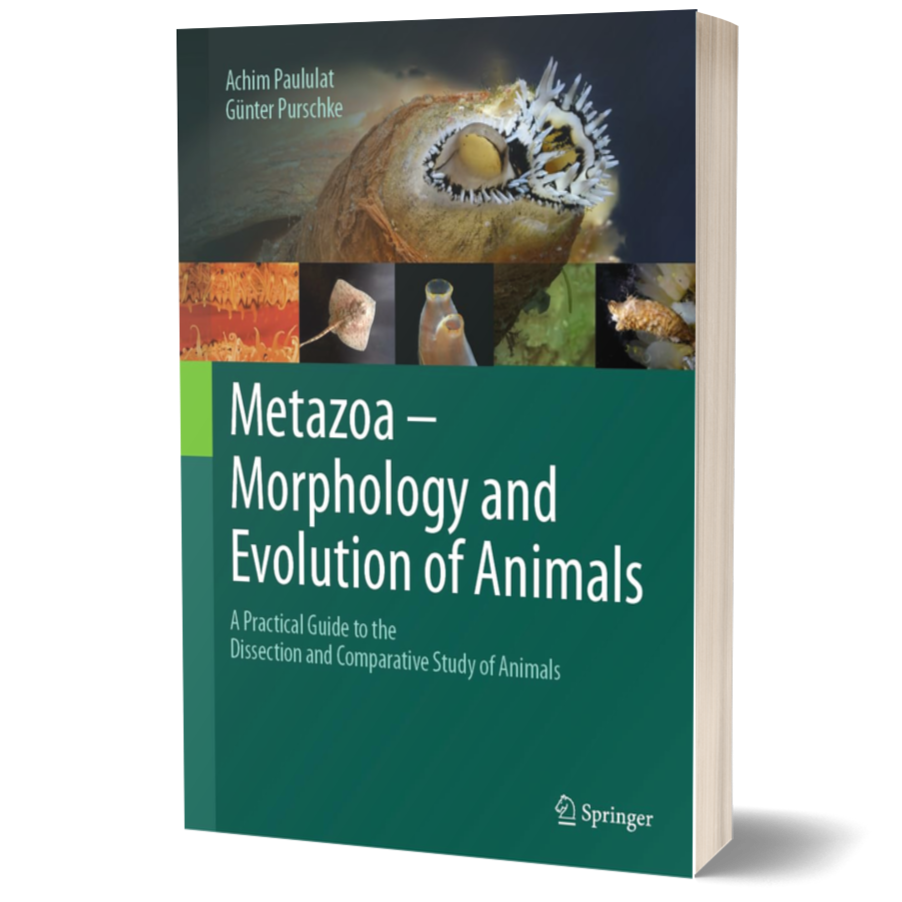 Metazoa – Morphology and Evolution of Animals: A Practical Guide to the Dissection and Comparative Study of Animals