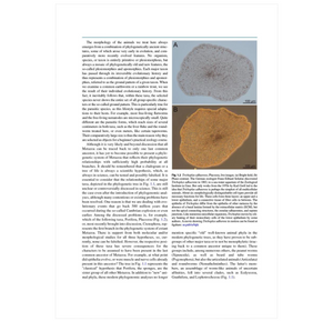 Metazoa – Morphology and Evolution of Animals: A Practical Guide to the Dissection and Comparative Study of Animals ²⁵