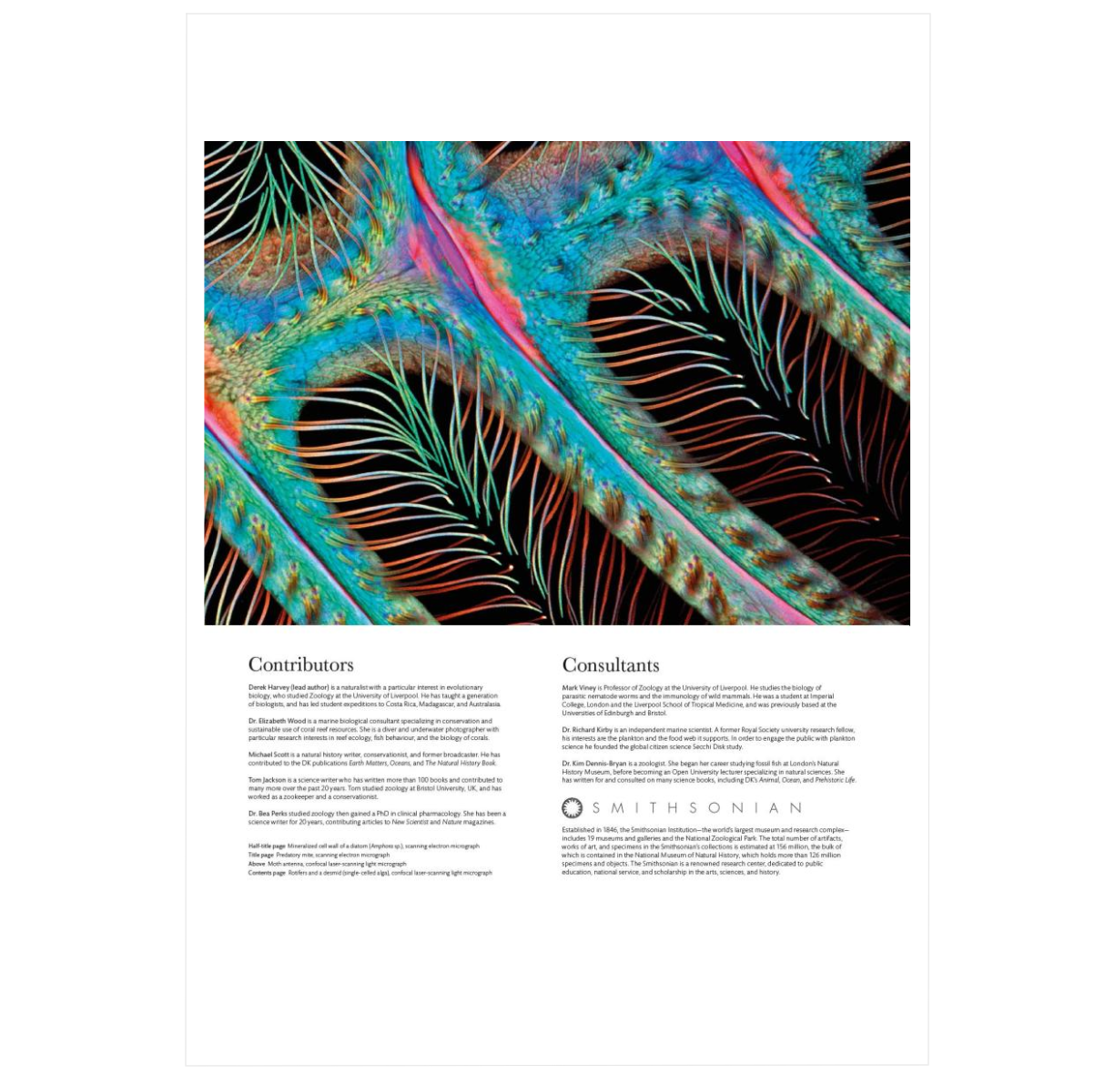 Micro Life: Miracles of the Miniature World Revealed (DK Secret World Encyclopedias) (Packaging may vary)