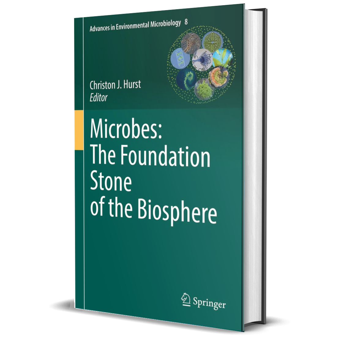 Microbes: The Foundation Stone of the Biosphere (Advances in Environmental Microbiology, 8)