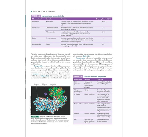 Microbiology, International Adaptation, 3rd Edition ²⁵ - BIOWEB Brasil
