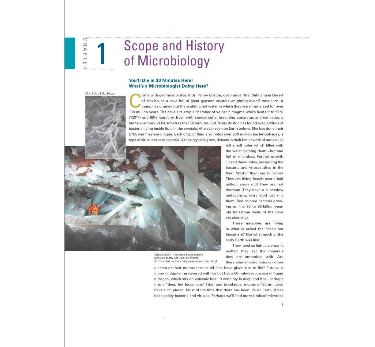 Bioweb Jensen Microbiology: Principles and Explorations, 10th Edition ²⁵ - BIOWEB Brasil