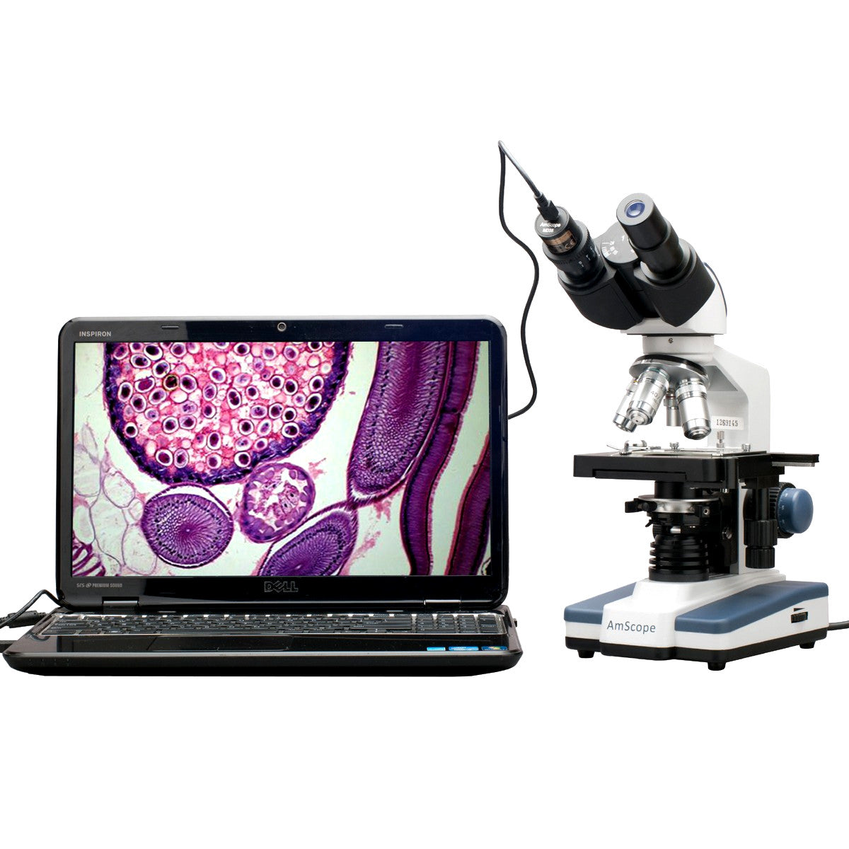 Microscópio Binocular Composto Amscope / 40X-2500X - Câmera USB 3D 5,0MP