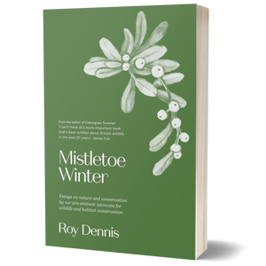 Mistletoe Winter