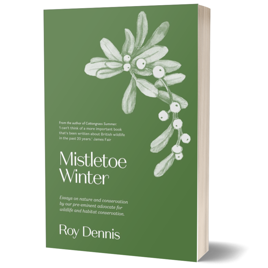 Mistletoe Winter