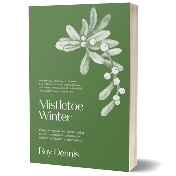 Mistletoe Express Mistletoe Winter - BIOWEB Brasil