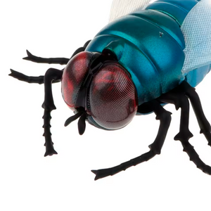 Modelo de Simulação de Mosca (+3)