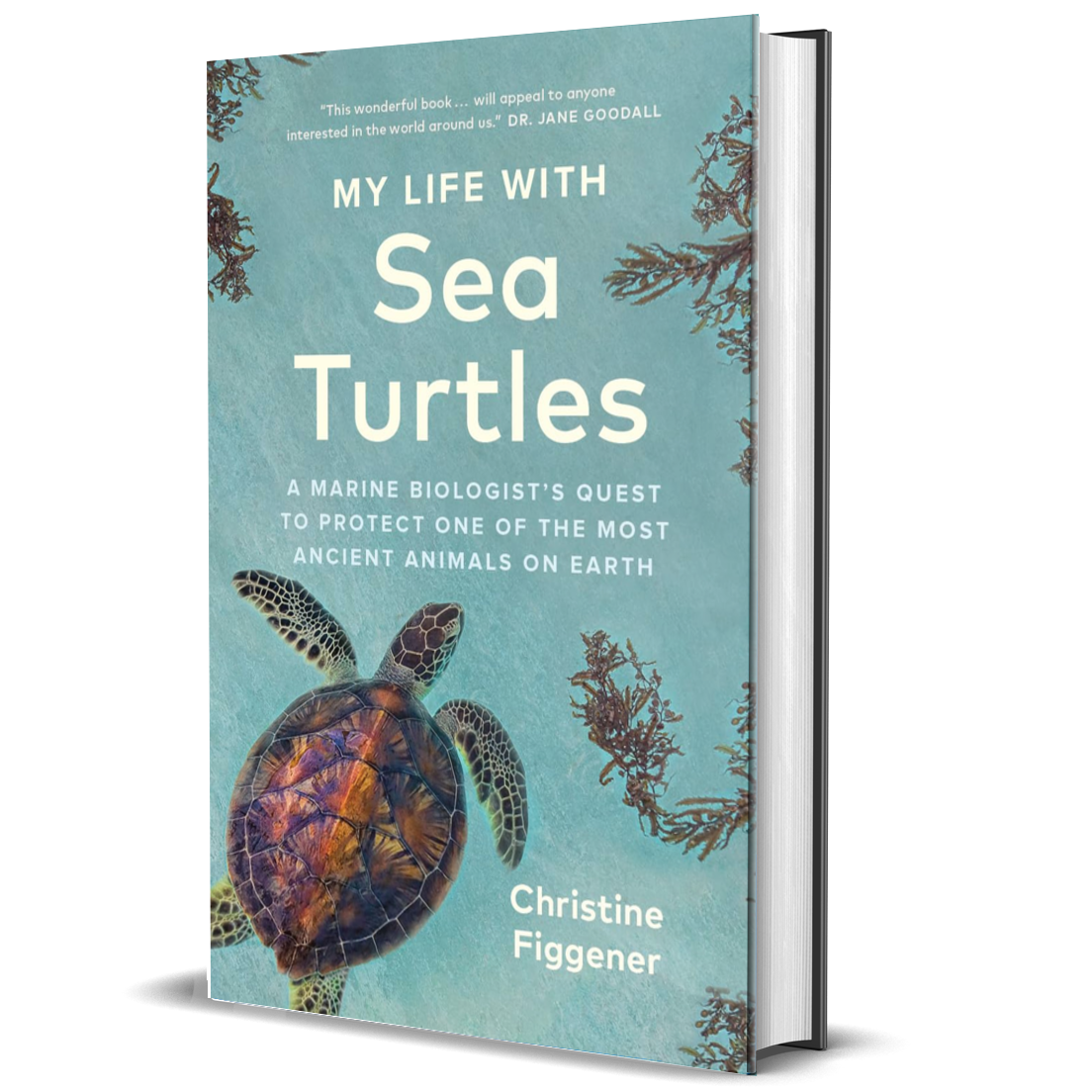My Life with Sea Turtles: A Marine Biologist’s Quest to Protect One of the Most Ancient Animals on Earth