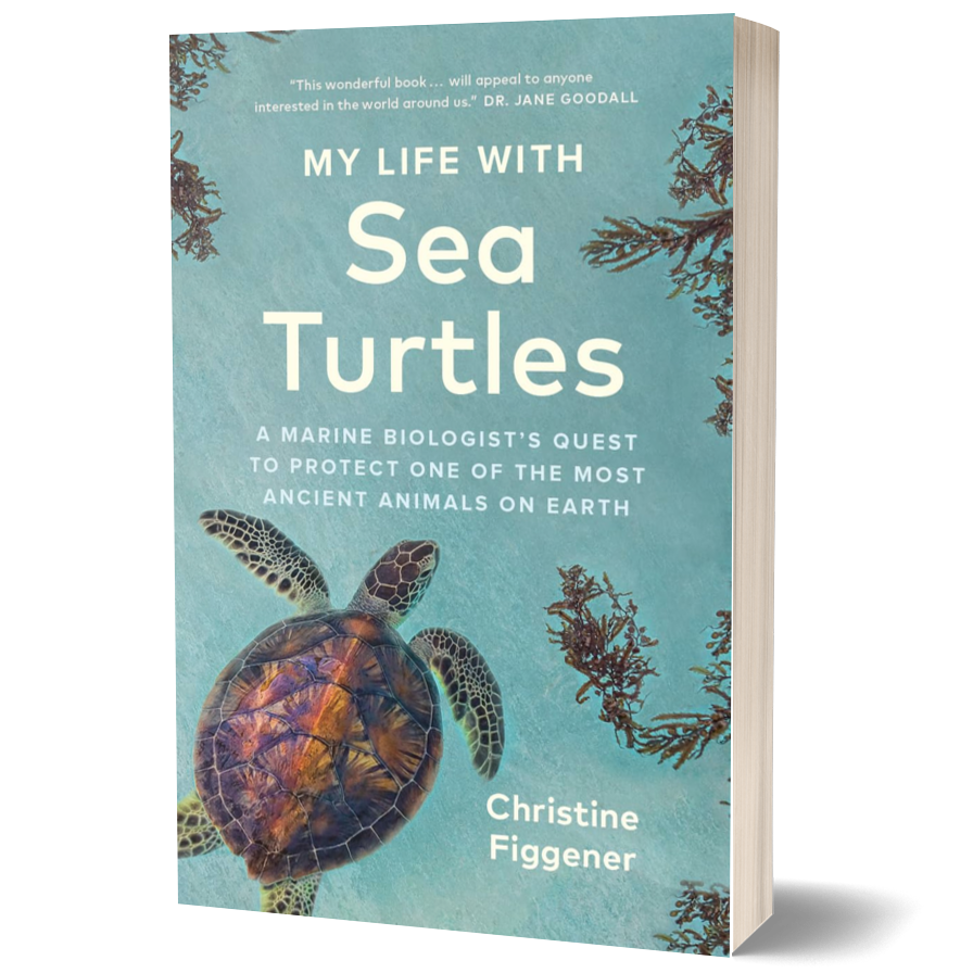 My Life with Sea Turtles: A Marine Biologist’s Quest to Protect One of the Most Ancient Animals on Earth