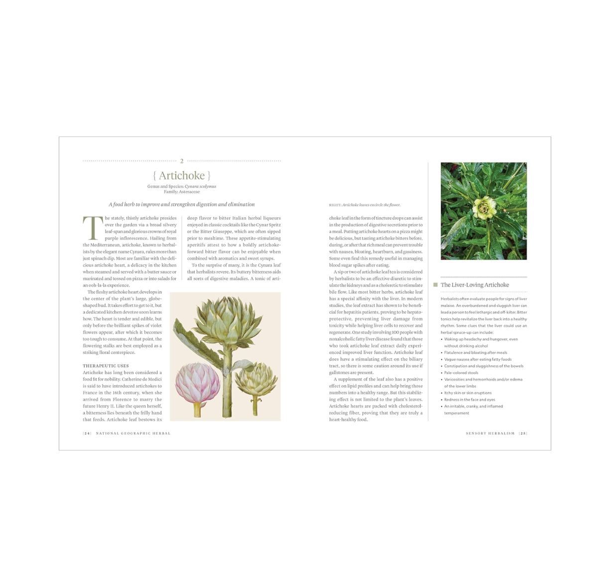 National Geographic Herbal: 100 Herbs from the World's Healing Traditions