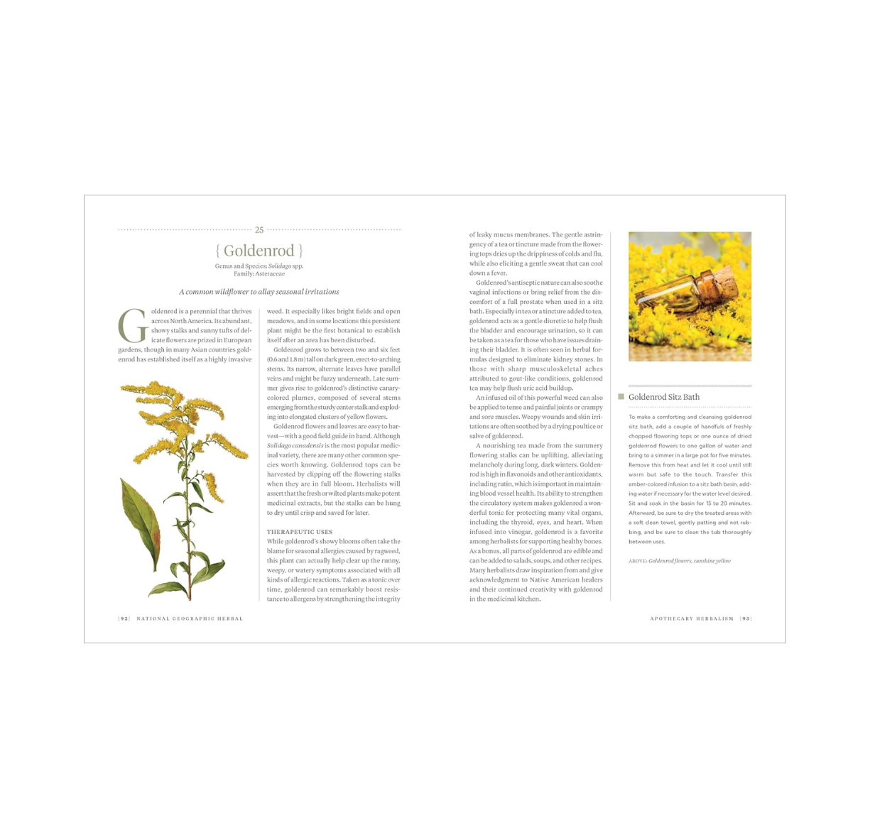 National Geographic Herbal: 100 Herbs from the World's Healing Traditions